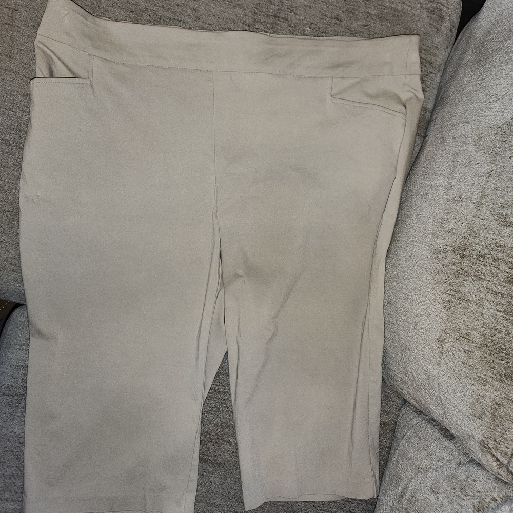 Terra & Sky Taupe Stretchy Pants